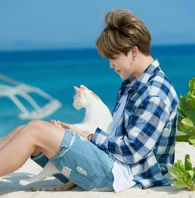 imagen de jimin con su gato